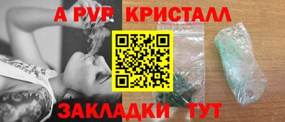 спиды Сланцы