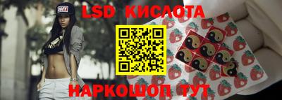 спиды Сланцы