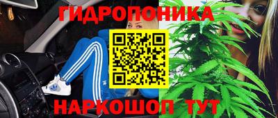 спиды Сланцы