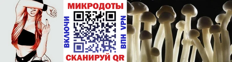Галлюциногенные грибы Magic Shrooms  дарк нет какой сайт  Ростов-на-Дону 