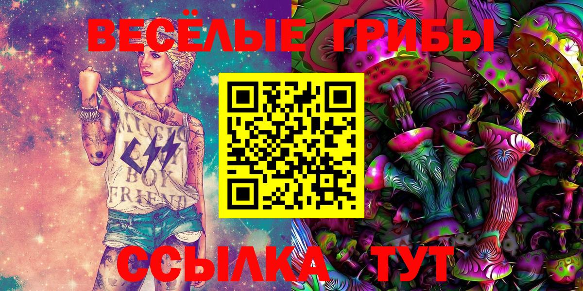 Псилоцибиновые грибы Psilocybine cubensis Ростов-на-Дону